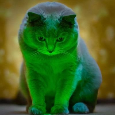 prtk___'s profile picture. 