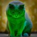 Prateek (@prtk___) Twitter profile photo Prateek (@prtk___) Twitter profile photo