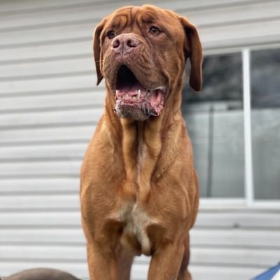 Wes85261940's profile picture. Crypto crackhead 🤪