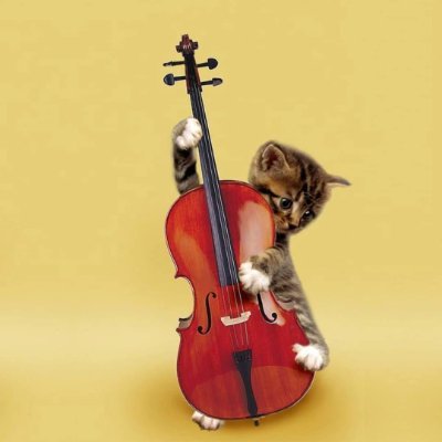 I'm not really a kitten playing a fiddle like a bass. If I was you'd have heard of me by now because that's amazing.