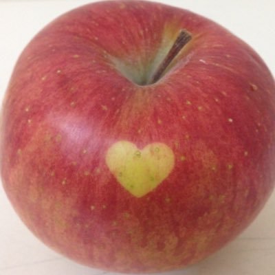 oharu_0410's profile picture. 防弾少年団 ジン ユンギ      USJを庭にしたいおばさん