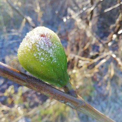 Natuurgenieter, uit water geboren en de 1e levensteug is lucht, dankbaar voor al het mooie wat op mijn pad komt