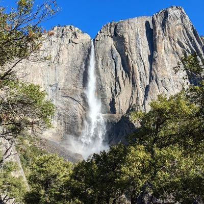 CWilliams_123's profile picture. 