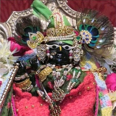 kritisharma186's profile picture. हर हिन्दू अपने धर्मग्रंथ को पड़ना और सुनना शुरू कर दे तो भारत को हिंदुराष्ट्र बनने से कोई रोक नहीं सकता।
जय जय श्री राधा दामोदर लाल की जय जय श्री राधे कृष्ण 🙏