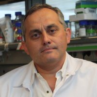 Miguel Angel delPozo (@madelpozo67) 's Twitter Profile Photo Miguel Angel delPozo (@madelpozo67) 's Twitter Profile Photo