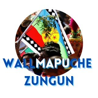 Noticias de Temuco  #Wallmapuche #IXRegión y el Mundo #AprueboDeSalida