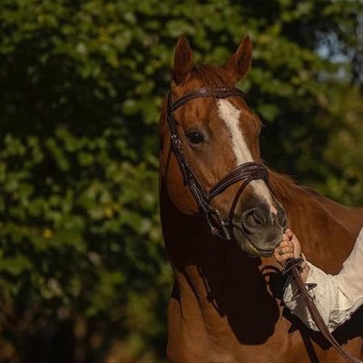 kellyglehman's profile picture. 