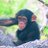 PruetzLab's profile image
