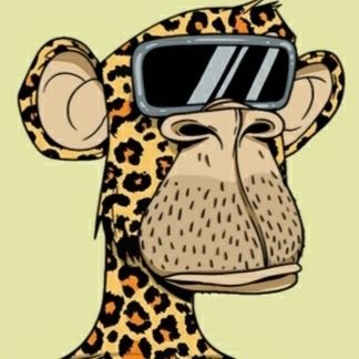 samiechirwa's profile picture. Decentralized application & Web 3 developer | Crypto trader | NFT Collector| Cryptocurrency Evangelist| De fi Money Market analyst