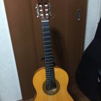 てつ(@tetsu0521guitar) 's Twitter Profile Photo