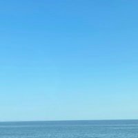 フェチ動画像情報紹介場所？ (@selfcontroltkg) Twitter profile photo