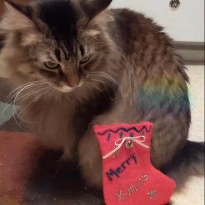 Erik_MC23's profile picture. 