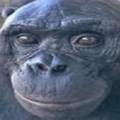 BroamGuy's profile picture. 