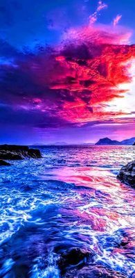 safehands73's profile picture. 