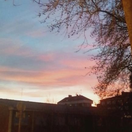 olayasorianoo's profile picture. 🫀🫀🫀🫀