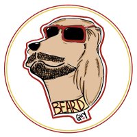 GoldenBeardGuy (@goldenbeardguy) 's Twitter Profile