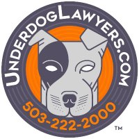 Underdog Law Office(@UnderdogLawBlog) 's Twitter Profile Photo