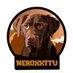 Neroxx (@neroxxttv) Twitter profile photo Neroxx (@neroxxttv) Twitter profile photo