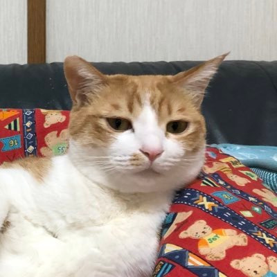 nanaknk01017's profile picture. 