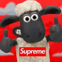 Schaf (@supremeschaf) 's Twitter Profile