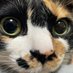 Tails Farm (@tails_farm8) Twitter profile photo Tails Farm (@tails_farm8) Twitter profile photo