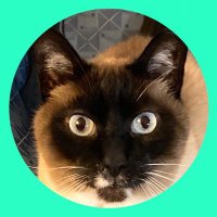 Soveliss (@soveliss42) 's Twitter Profile