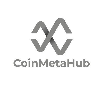 CoinMetaHub Profile Picture