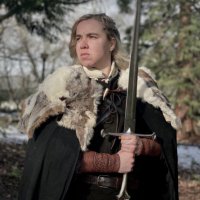 Skald of Shenanigans(@SkaldofShenan) 's Twitter Profile Photo