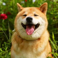 Ki Mi (@kimi72801978) 's Twitter Profile