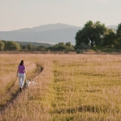 🌲🌿🌻🐝🦋🐻 A walk in nature helps.  Green Country Oklahoma ➡️ Colorado.  Camp4Coffee drinker.  Still 😷 in public buildings.