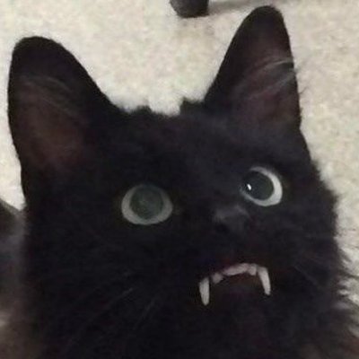 catpire_gf's profile picture. I like music, art, dancing and games.