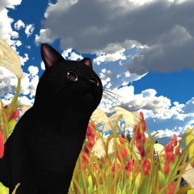 あまもりさんのプロフィール画像