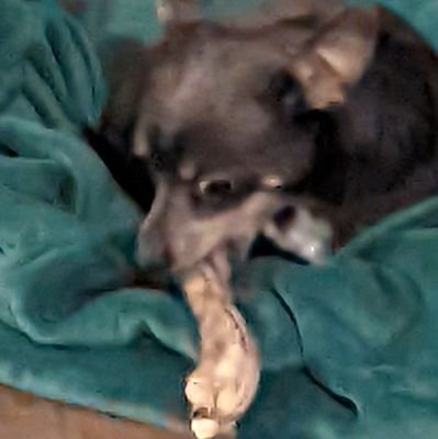 Moth35918116's profile picture. ฅ^•ﻌ•^ฅ