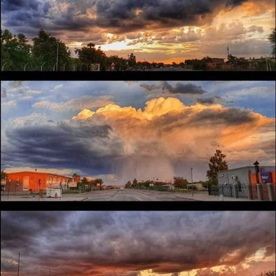 Monica55424965's profile picture. 🌺