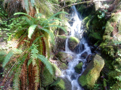 AlyssaMurray76's profile picture. Writer, philosopher, explorer, poet.. focused on philosophy, psychology, spirituality, pets, nature, love, and coexistence.. Perception, Truth, Reality..