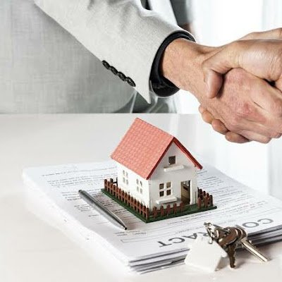 YOUNES_METAPETS's profile picture. Friendly