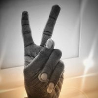 Jade (@jadedammy) Twitter profile photo