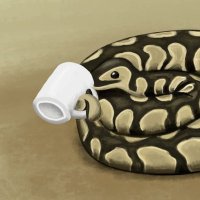 snake enchantress (@astraluma) 's Twitter Profile Photo snake enchantress (@astraluma) 's Twitter Profile Photo