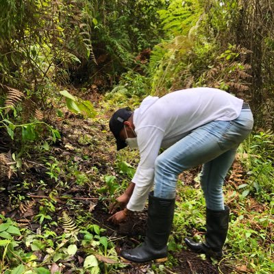 Ingeniero ambiental