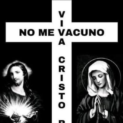 ✠Laudetur Jesus Christus et Maria Immaculata✠