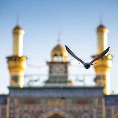 گر دخترکی پیش پدر ناز کند....
گره کرب و بلای همه را باز کند
