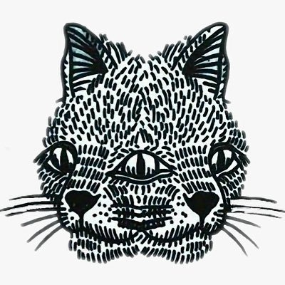 themediapapi's profile picture. 📍Miami, Fl 
🎥 Cinematographer
🎨 Creator 
🏀 Hooper
🎣 Fisherman