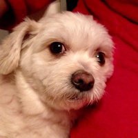 Theresa + AllAboutACTORS (@thawkactors) 's Twitter Profile Photo