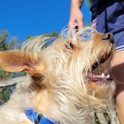 buddyk8888's profile picture. USF'24
Go Rays!