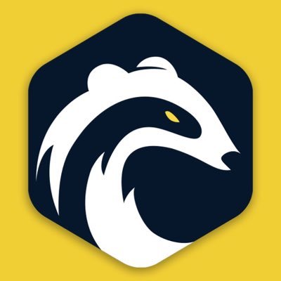 TruBadger Utility token with reflection and deflationary features along with Multi-signature Wallets. 
https://t.co/sgdq6UwWIs