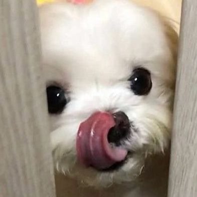 boong_ya's profile picture. 