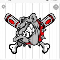 FB Austin Baseball (@ahsdawgbaseball) 's Twitter Profile