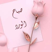 غريب ووحيد (@yahyaabouomar) 's Twitter Profile