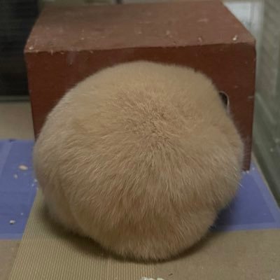 Allen___5's profile picture. モンスト APEX モンハン P5X