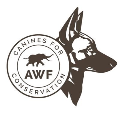 Director of the African Wildlife Foundation’s canines for conservation program. Opinions are my own.